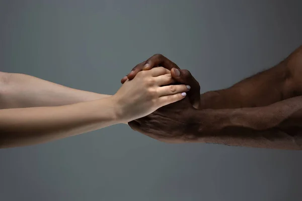Racial tolerance. Respect social unity. African and caucasian hands gesturing isolated on gray studio background