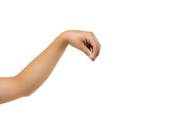 Рука ребенка, пальмовый жест изолированы на белом фоне студии — стоковое фото