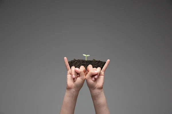 Mãos humanas segurando uma planta verde fresca, símbolo de negócios em crescimento, conservação ambiental e economia bancária. Planeta em suas mãos . — Fotografia de Stock