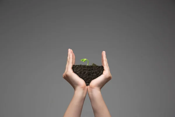 Friss zöld növényt tartó emberi kéz, a növekvő üzlet, a környezetvédelem és a banki megtakarítások szimbóluma. Bolygó a kezedben. — Stock Fotó
