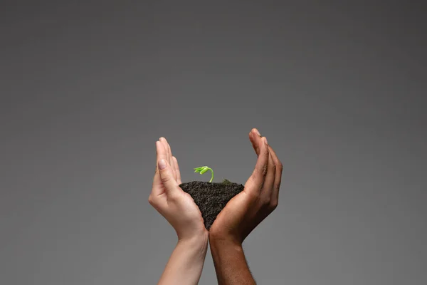 Ανθρώπινα χέρια κρατώντας ένα φρέσκο πράσινο φυτό, σύμβολο της ανάπτυξης των επιχειρήσεων, την προστασία του περιβάλλοντος και τις αποταμιεύσεις των τραπεζών. Ο πλανήτης στα χέρια σου. — Φωτογραφία Αρχείου