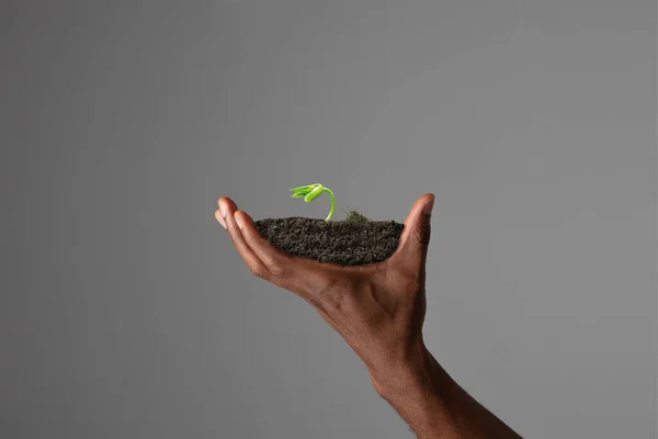 Human hands holding a fresh green plant, symbol of growing business, environmental conservation and bank savings. Planet in your hands. — Stock Photo, Image