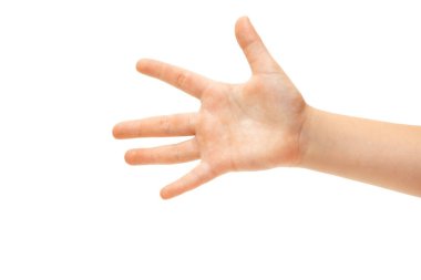 Beyaz stüdyo arka planında izole edilmiş çocuk eli ve el hareketi.