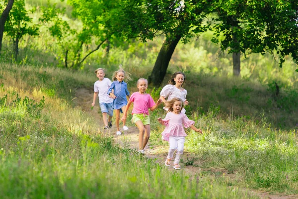 Niños, niños corriendo en el prado a la luz del sol —  Fotos de Stock