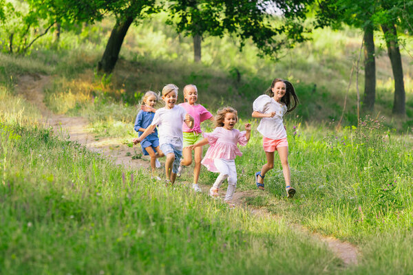 Kids, children running on meadow in summers sunlight