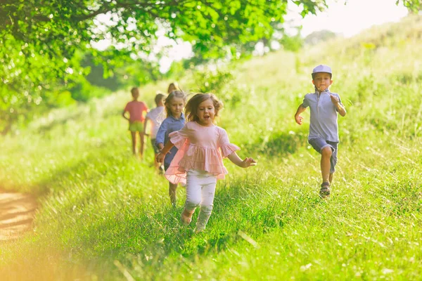 Kids, children running on meadow in summers sunlight — Stock Photo, Image