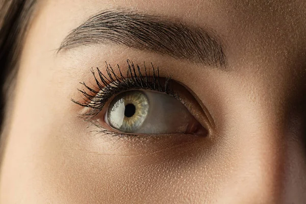 Close up of face of beautiful caucasian young woman, focus on eyes. Human emotions, facial expression, cosmetology, body and skin care concept. — Stock Photo, Image