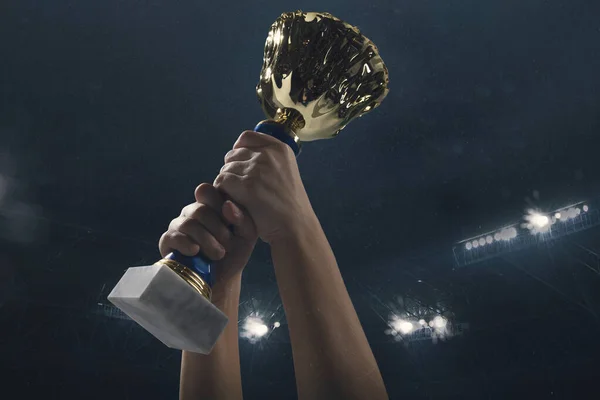 勝利の賞、曇った暗い空に対して勝者のカップを締め男性の手 — ストック写真