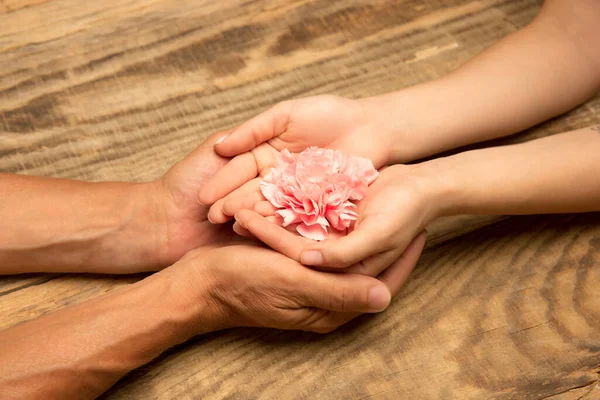 Mãos humanas segurando tenra flor de verão juntos isolado em fundo de madeira com copyspace — Fotografia de Stock