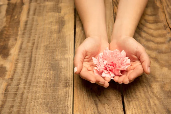 Mãos humanas segurando tenra flor de verão juntos isolado em fundo de madeira com copyspace — Fotografia de Stock
