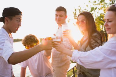 Bir grup arkadaş plajda piknik yaparken bira bardaklarını tokuşturuyorlar. Yaşam tarzı, arkadaşlık, eğlence, haftasonu ve dinlenme konsepti..