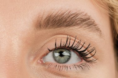 Kafkasyalı güzel bir kadının yüzüne yakın dur ve gözlerine odaklan.