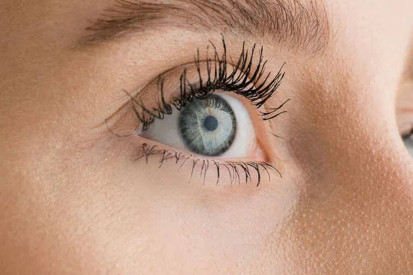 Close up of face of beautiful caucasian young woman, focus on eyes — Stock Photo, Image