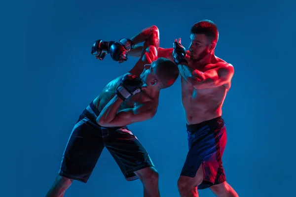 MMA. Dos luchadores profesionales de perforación o boxeo aislados en fondo de estudio azul en neón — Foto de Stock