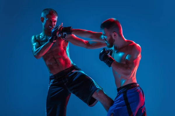 MMA. Dos luchadores profesionales de perforación o boxeo aislados en fondo de estudio azul en neón —  Fotos de Stock