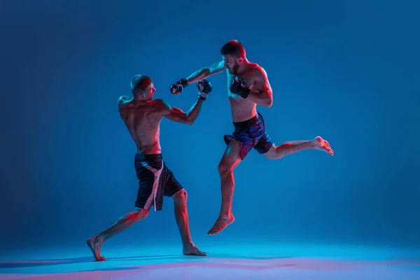 MMA. Twee professionele vechters ponsen of boksen geïsoleerd op blauwe studio achtergrond in neon — Stockfoto