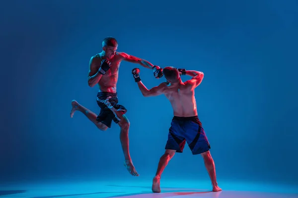 MMA. Dos luchadores profesionales de perforación o boxeo aislados en fondo de estudio azul en neón — Foto de Stock