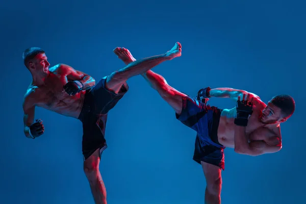 MMA. Kaksi ammatti taistelijat lävistys tai nyrkkeily eristetty sininen studio tausta neon — kuvapankkivalokuva