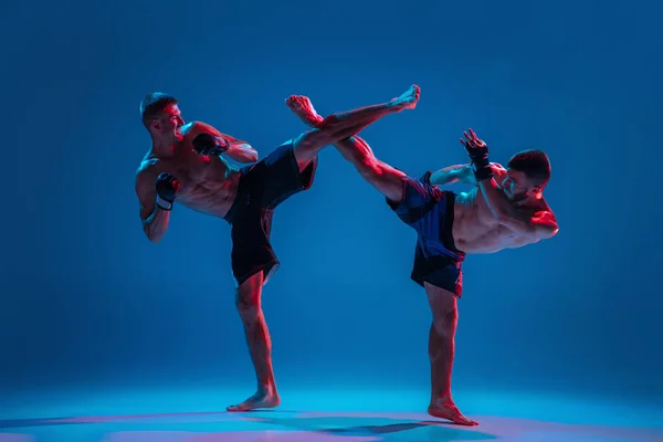 MMA. Twee professionele vechters ponsen of boksen geïsoleerd op blauwe studio achtergrond in neon — Stockfoto