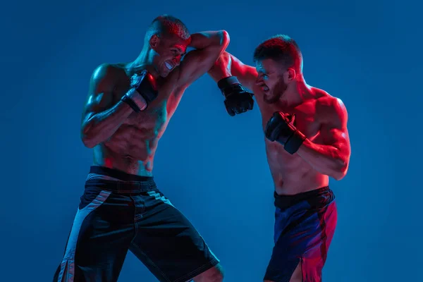 MMA. Deux combattants professionnels poinçonnant ou boxant isolés sur fond bleu studio au néon — Photo