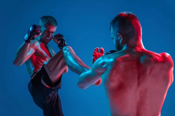 MMA. Dos luchadores profesionales de perforación o boxeo aislados en fondo de estudio azul en neón — Foto de Stock