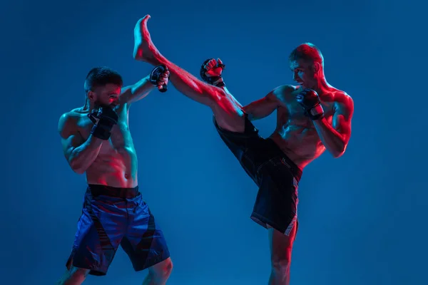 MMA. Dos luchadores profesionales de perforación o boxeo aislados en fondo de estudio azul en neón — Foto de Stock