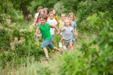 Kids, children running on green meadow, forest. Childhood and summertime clipart