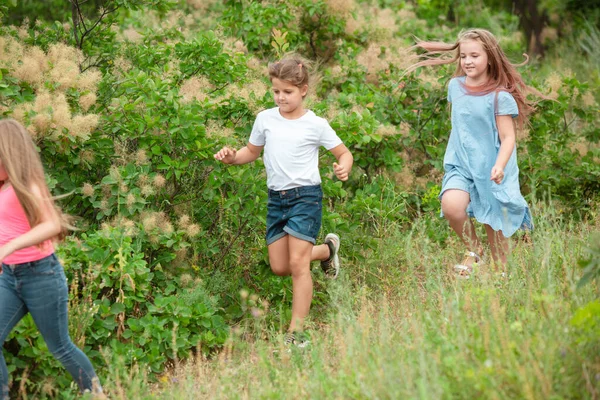 Crianças, crianças a correr no prado verde, floresta. Infância e horário de verão — Fotografia de Stock
