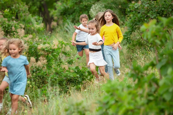 Niños, niños corriendo en el prado verde, bosque. Infancia y verano — Foto de Stock