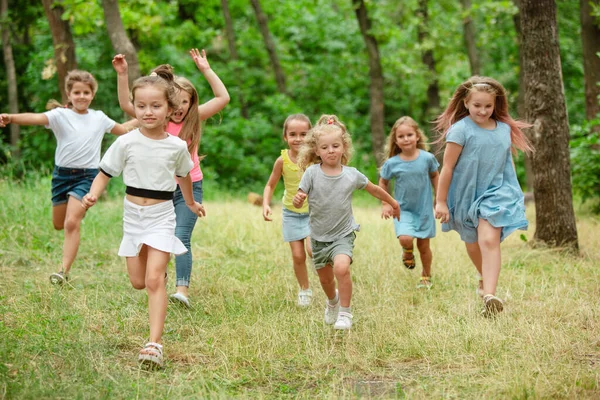 Kinderen, kinderen op groene weide, bos. Jeugd en zomertijd — Stockfoto