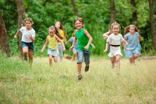 Kinder, Kinder, die auf der grünen Wiese laufen, Wald. Kindheit und Sommerzeit — Stockfoto