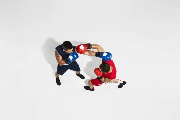 Deux boxeurs professionnels boxe isolés sur fond de studio blanc, action, vue de dessus — Photo