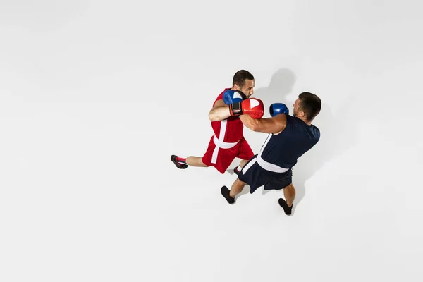 Δύο επαγγελματίες πυγμάχοι πυγμαχία απομονώνονται σε λευκό στούντιο φόντο, δράση, top view — Φωτογραφία Αρχείου