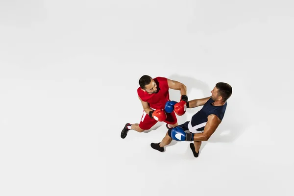 Dos boxeadores profesionales de boxeo aislados en fondo de estudio blanco, acción, vista superior — Foto de Stock