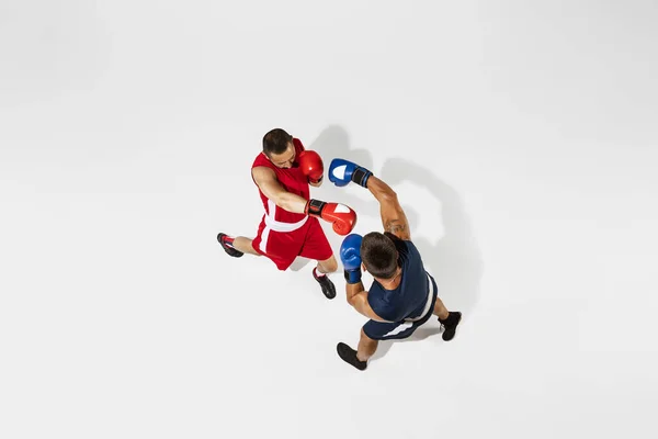 Deux boxeurs professionnels boxe isolés sur fond de studio blanc, action, vue de dessus — Photo