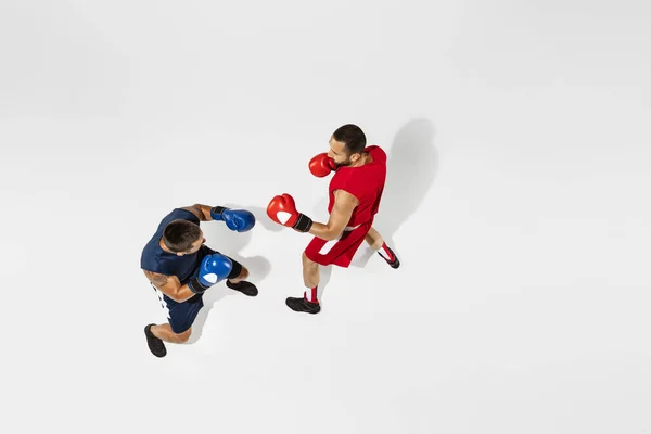 Two professional boxers boxing isolated on white studio background, action, top view — Stock Photo, Image