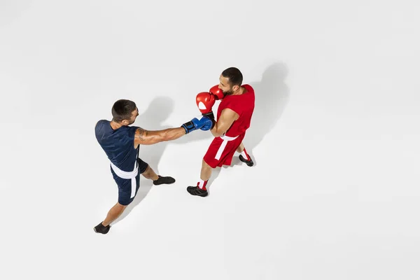 Dois boxers profissionais boxe isolado no fundo do estúdio branco, ação, vista superior — Fotografia de Stock