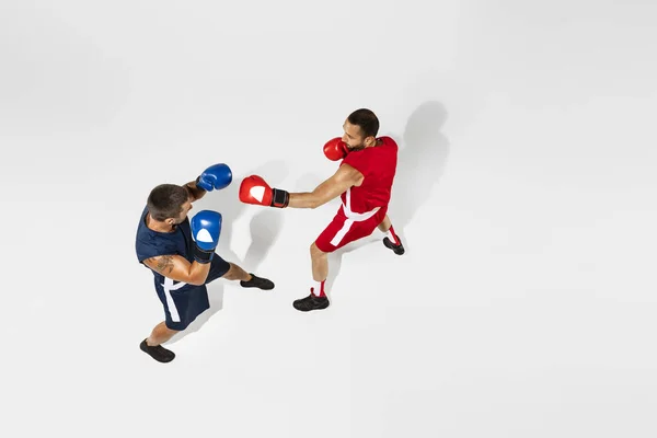 Dos boxeadores profesionales de boxeo aislados en fondo de estudio blanco, acción, vista superior —  Fotos de Stock