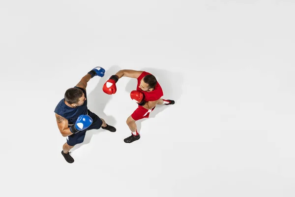 Two professional boxers boxing isolated on white studio background, action, top view — Stock Photo, Image