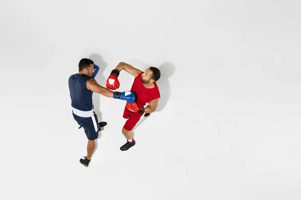 Deux boxeurs professionnels boxe isolés sur fond de studio blanc, action, vue de dessus — Photo