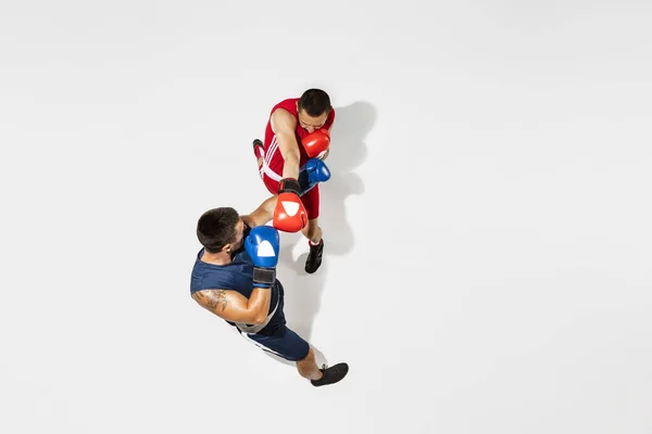 Deux boxeurs professionnels boxe isolés sur fond de studio blanc, action, vue de dessus — Photo