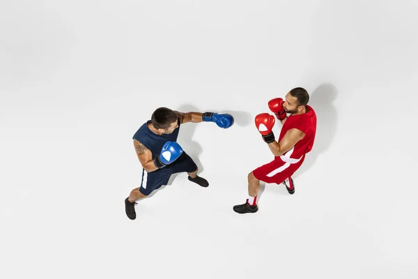 Deux boxeurs professionnels boxe isolés sur fond de studio blanc, action, vue de dessus — Photo