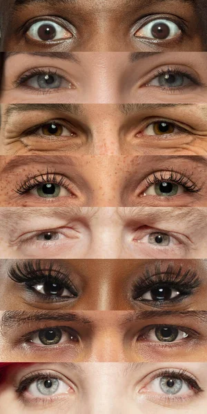 Set, koláž různých typů mužských a ženských očí — Stock fotografie
