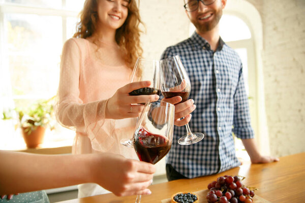People clinking glasses with wine or champagne. Happy cheerful friends celebrate holidays, meeting. Close up shot of smiling friends, lifestyle