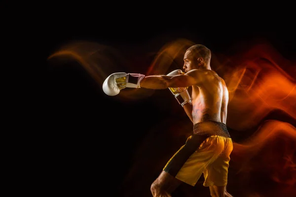Szakmai boxer képzés elszigetelt fekete stúdió háttér vegyes fényben — Stock Fotó