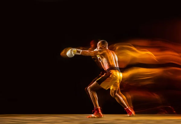 Profesyonel boksör eğitimi, siyah stüdyo arka planında karışık ışık altında izole edildi — Stok fotoğraf