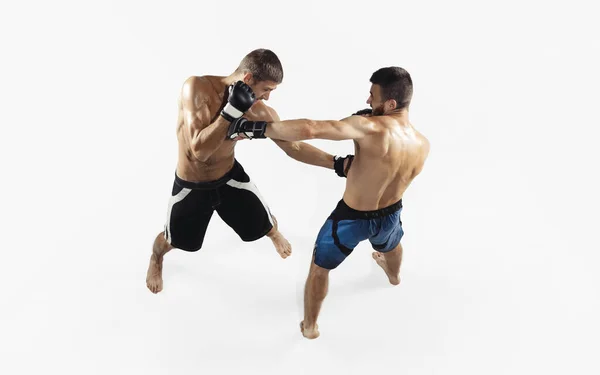 Dois lutadores profissionais de MMA boxe isolado em fundo de estúdio branco, dinâmica e movimento. Vista superior — Fotografia de Stock