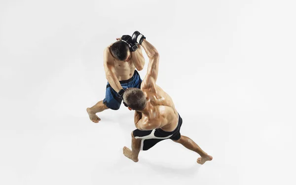 Two professional MMA fighters boxing isolated on white studio background, dynamic and motion. Top view — Stock Photo, Image
