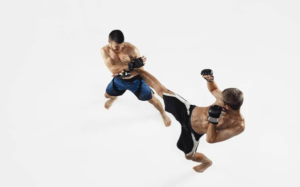 Two professional MMA fighters boxing isolated on white studio background, dynamic and motion. Top view — Stock Photo, Image