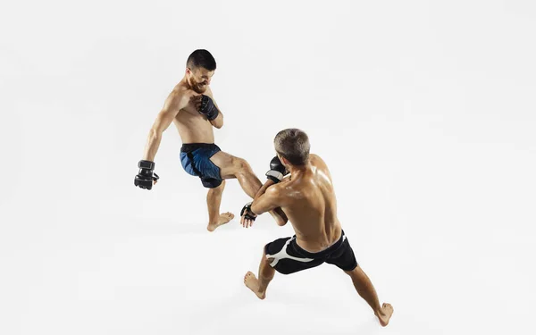 Two professional MMA fighters boxing isolated on white studio background, dynamic and motion. Top view — Stock Photo, Image